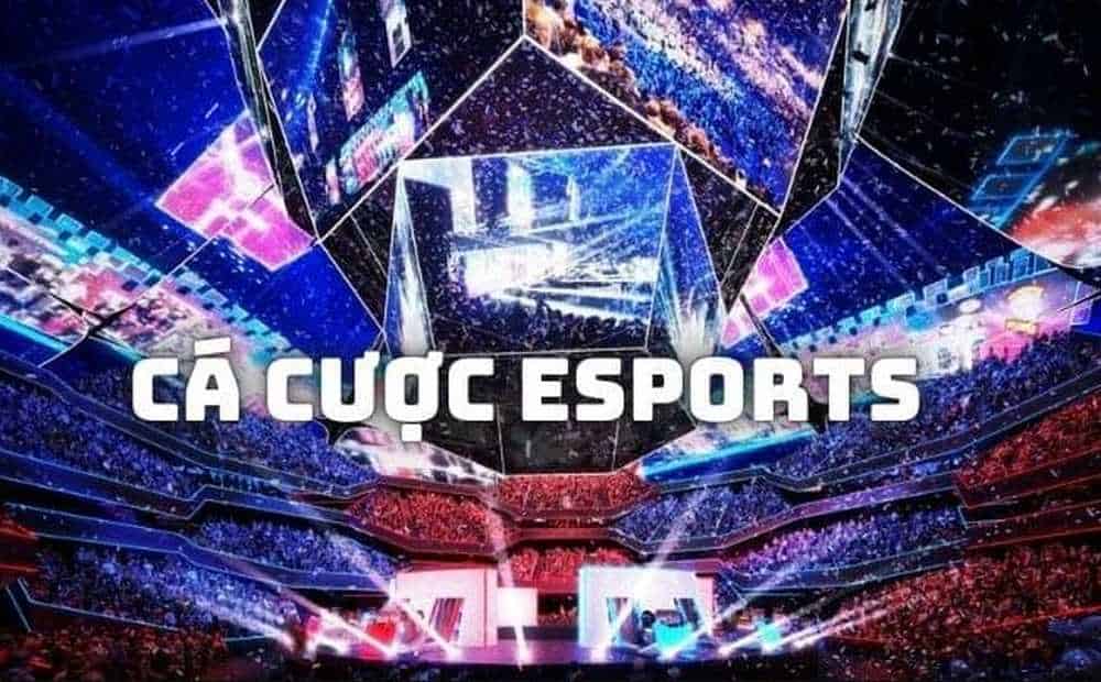 Cá cược Esports là hình thức hấp dẫn và mới mẻ