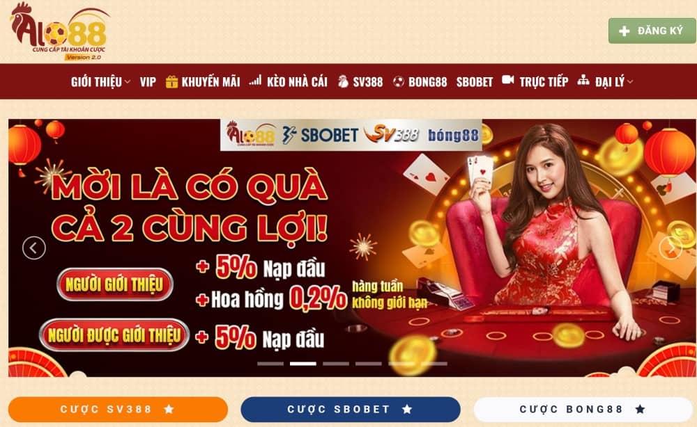 Tổng quan thương hiệu và định hướng dịch vụ Viva88